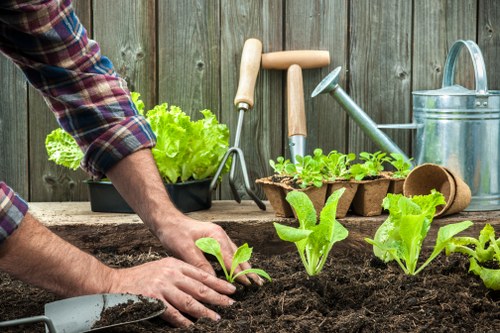 Illustration representing accessible gardening information for Chinatown users