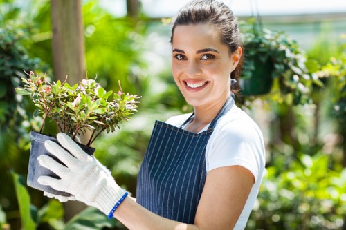 Gardening services in Chinatown for compact urban spaces