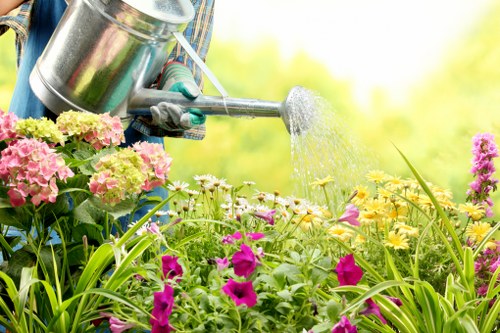 Rooftop and small-space gardening services in Chinatown