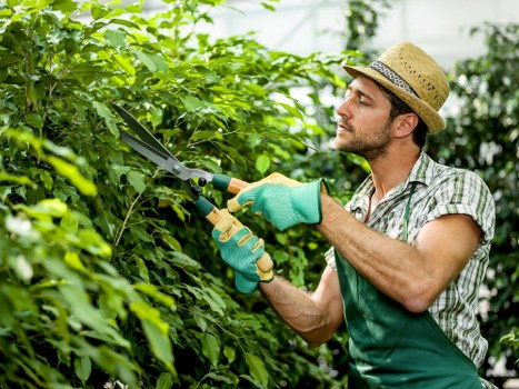 Supplier compliance and ethical labor oversight