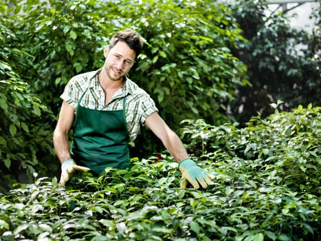 Sustainable recycling practices for garden services