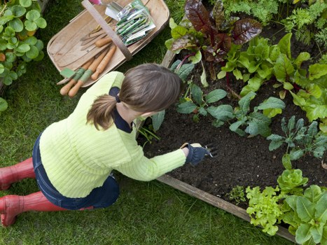 Free quote policy for Gardeners Chinatown services