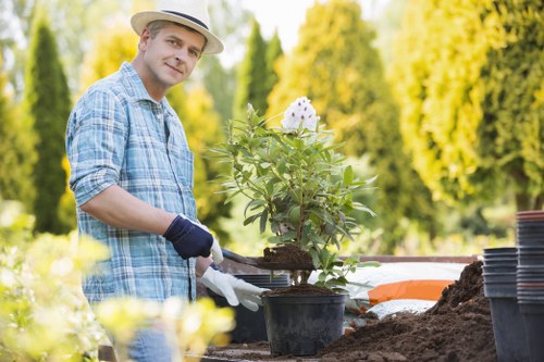 Edging and mowing service for a Chinatown lawn