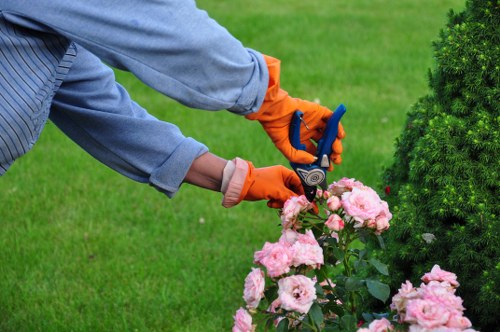 Decorative plants and hardscaping for landscape gardening in Chinatown