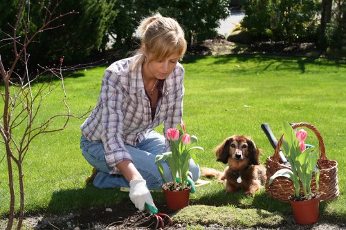 Public liability insurance concept for professional gardeners