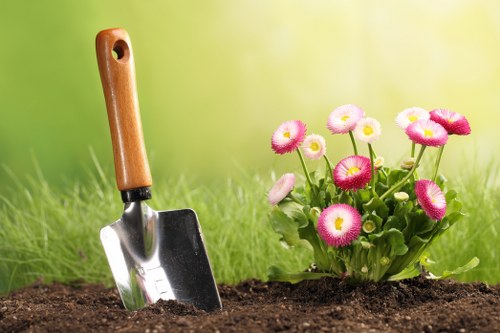 Seasonal Chinatown garden care with pruned shrubs and clean walkways